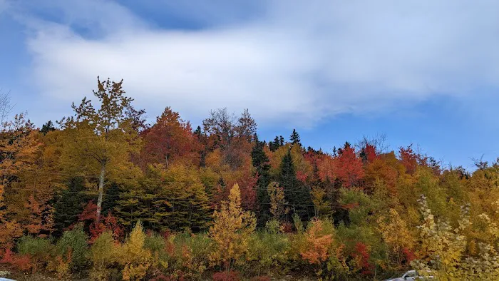 Cannon Mountain Rv Park Picture 8