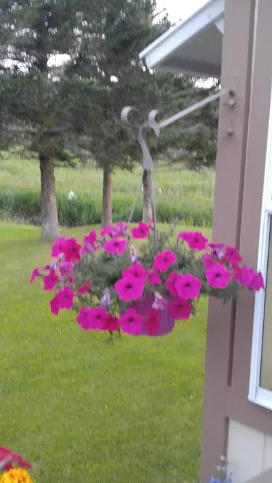 Toneys Mobile Home Park Picture 5