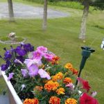 Toneys Mobile Home Park