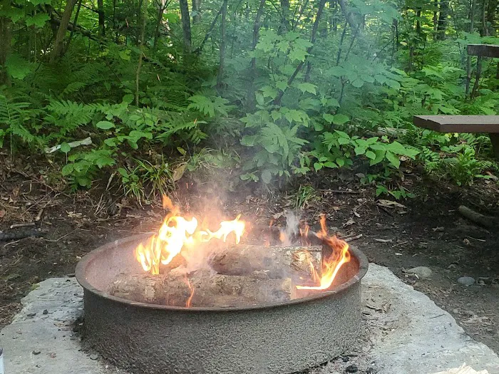 Burke Mountain Campground Picture 6