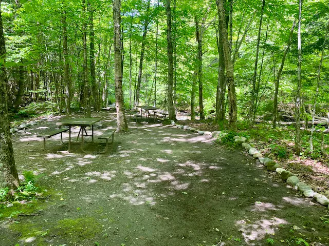 Brewster River Campground Picture 3