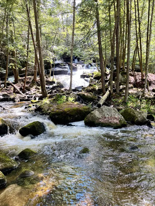 Belview Campground Picture 9