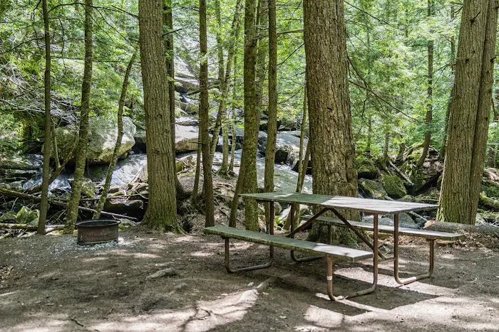 Belview Campground Picture 3