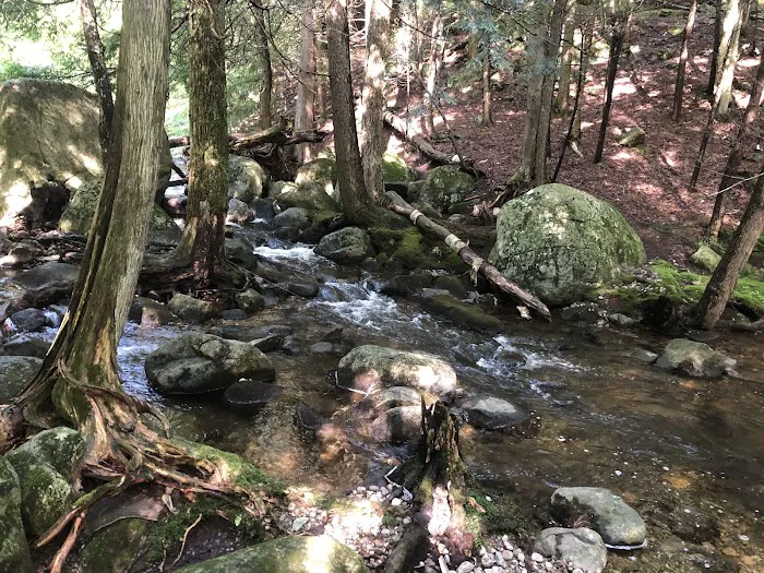 Chapel Pond Campsites Picture 1