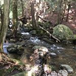 Chapel Pond Campsites