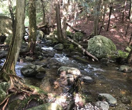 Chapel Pond Campsites