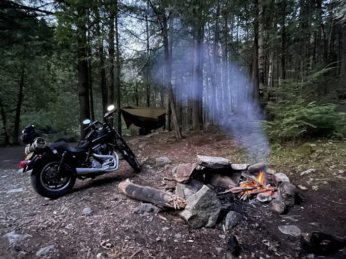 Chapel Pond Campsites Picture 7