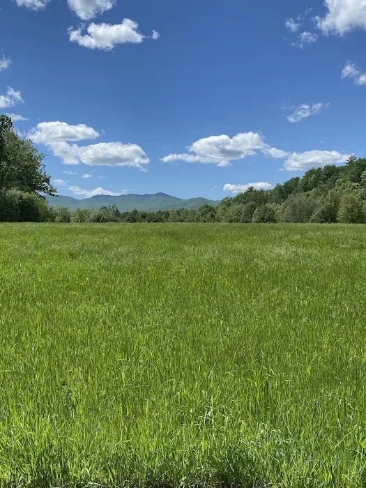 ADK Saddle Hill Picture 10