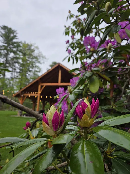 Pachaug Cottages Picture 4