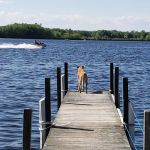 Laurel-Lock Campground