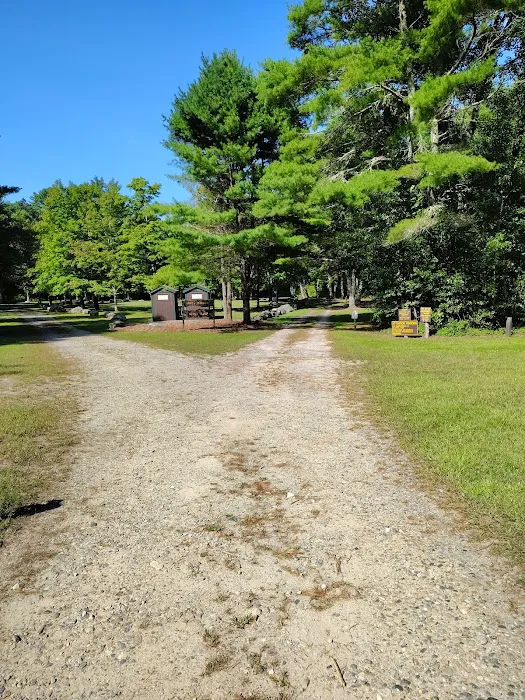 Frog Hollow Horse Camp Picture 2