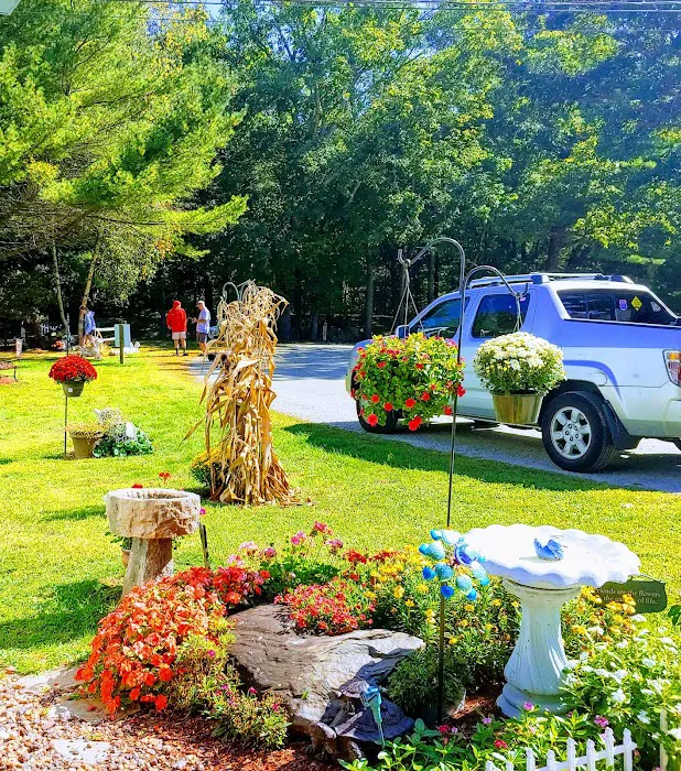Countryside Campground Picture 9