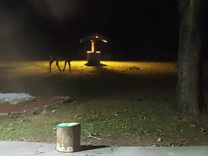 Countryside Campground Picture 6