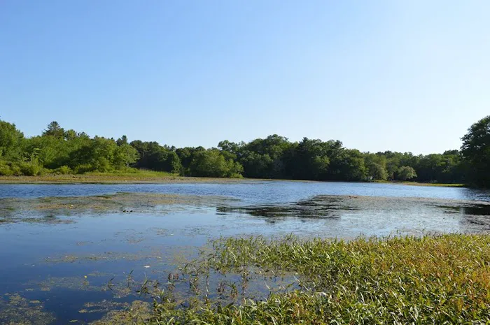 Nature's Campsites Picture 4