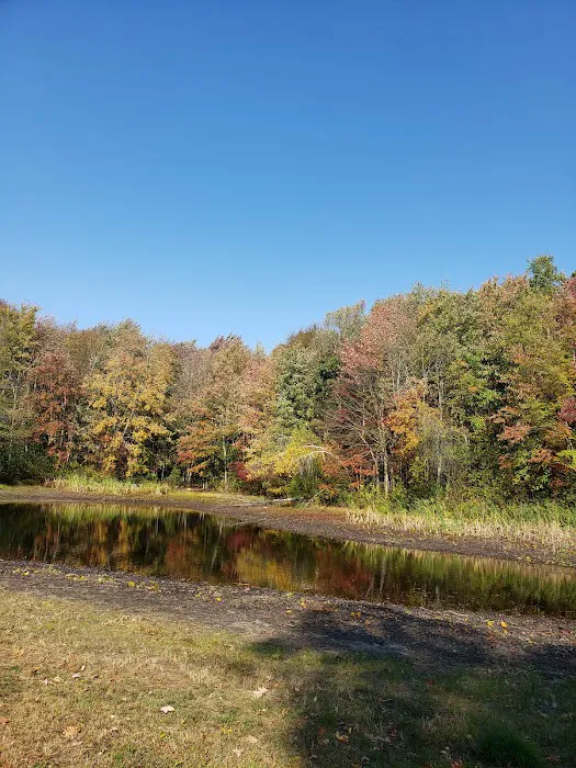 Hickory Ridge Family Campground Picture 4