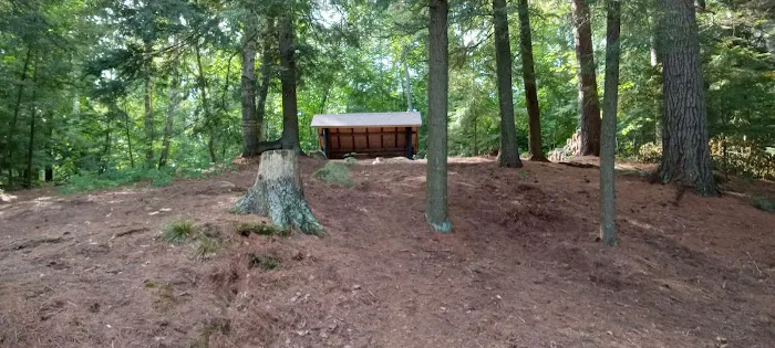 Saranac Lake Islands Camp ground Picture 8