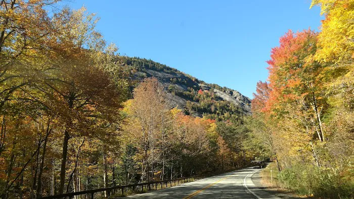 Taylor Pond Campground Picture 6