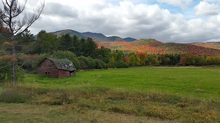 Taylor Pond Campground Picture 7