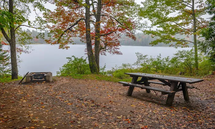 Fish Creek Pond Campground Picture 6