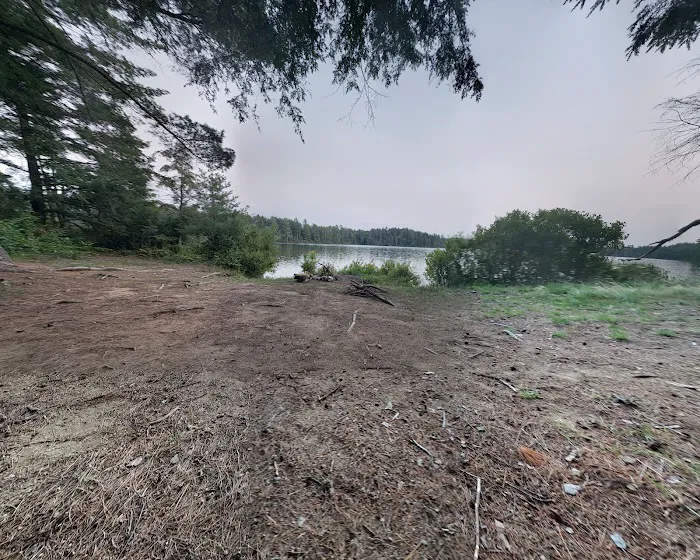 NYS Forest Campground Picture 5