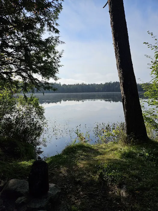 NYS Forest Campground Picture 6