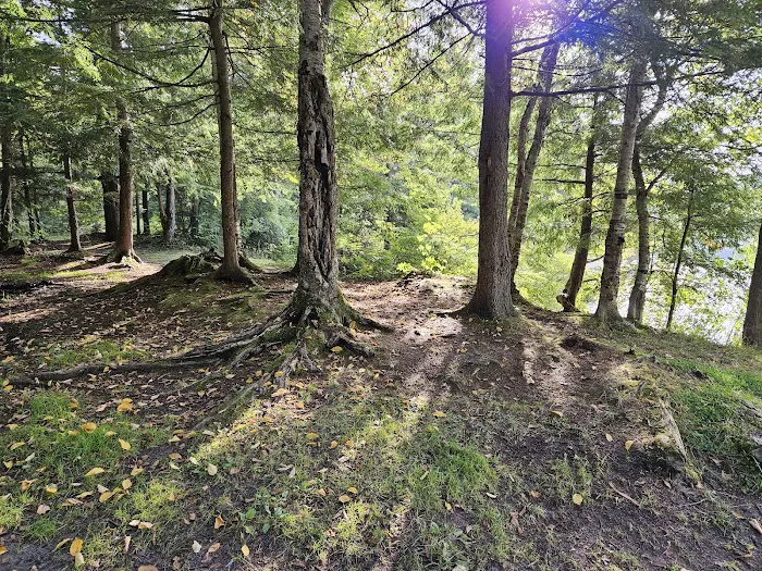 NYS Forest Campground Picture 2