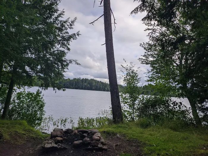 NYS Forest Campground Picture 3