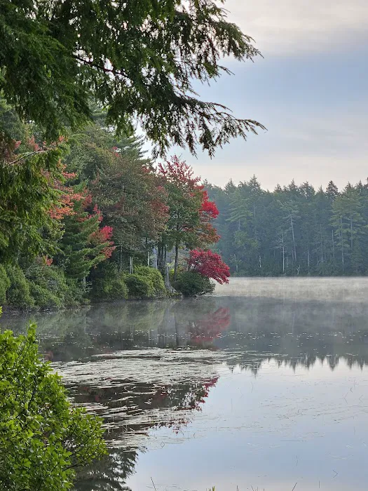 NYS Forest Campground Picture 1