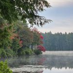 NYS Forest Campground