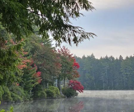 NYS Forest Campground