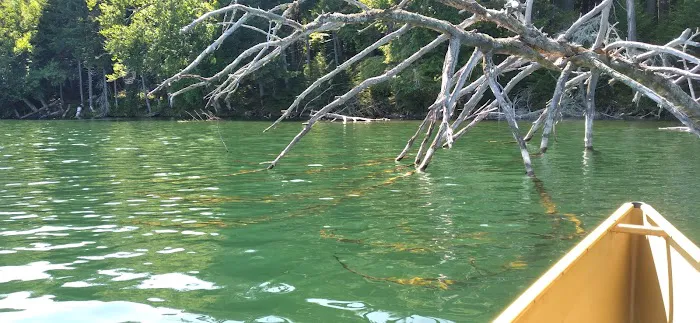 Little Green Pond Picture 1