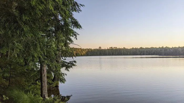 Little Green Pond Picture 7