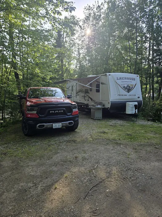 Bear's Pine Woods Campground & Resort Picture 1