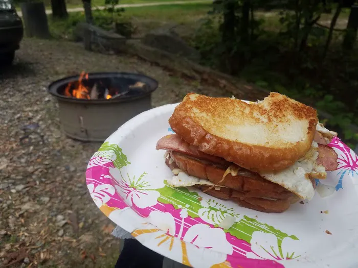 Bear's Pine Woods Campground & Resort Picture 7