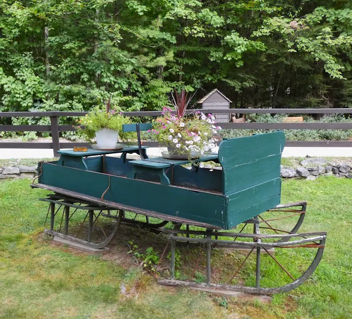 Willey Brook Campground Picture 1