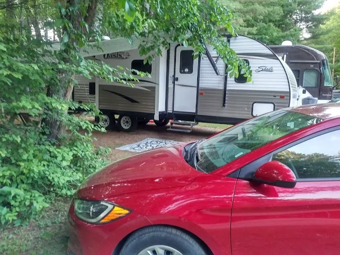 Willey Brook Campground Picture 3