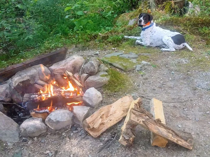 Willey Brook Campground Picture 2