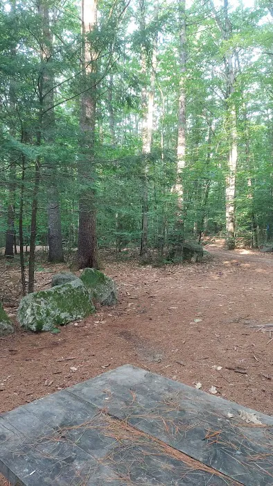 Wolfeboro Campground Picture 6