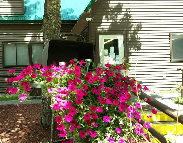 Beaver Hollow Campground Picture 3