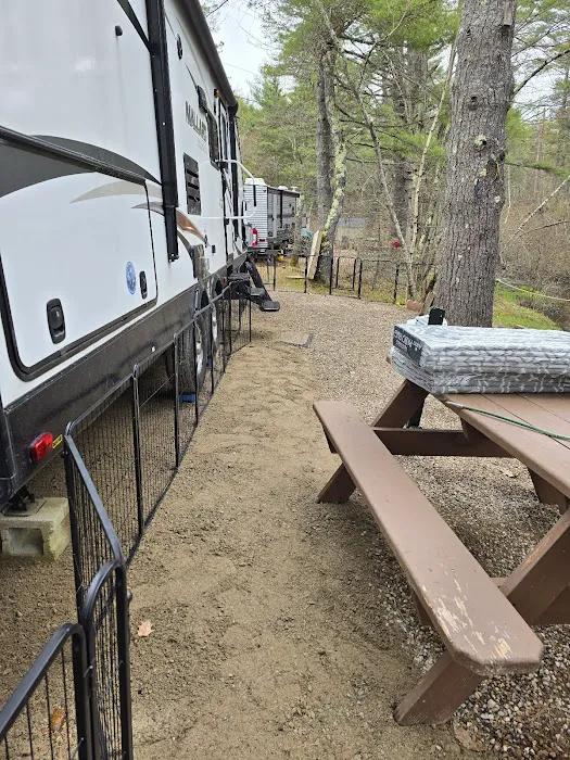 Beaver Hollow Campground Picture 9