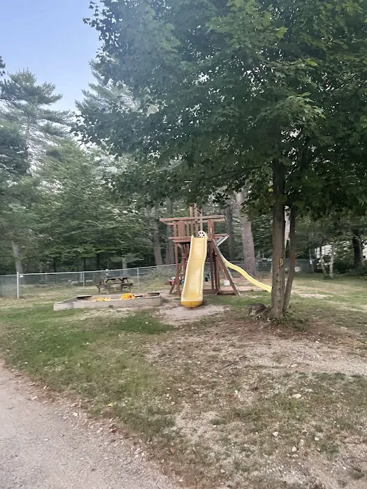 Beaver Hollow Campground Picture 2