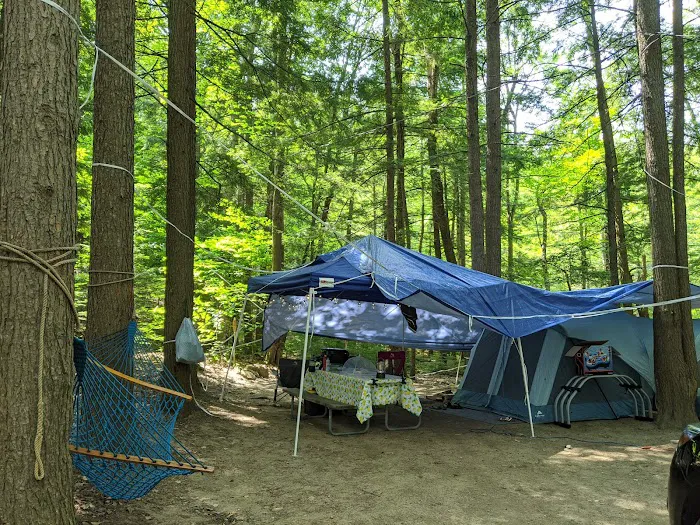 Terrace Pines Camping Area (A Modern America Campground) Picture 7