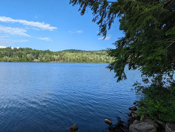 Terrace Pines Camping Area (A Modern America Campground) Picture 4