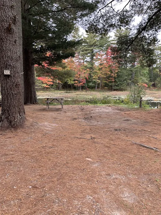 Woodman Lake Campground Picture 6