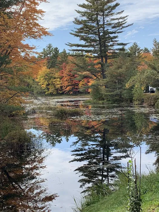 Woodman Lake Campground Picture 9