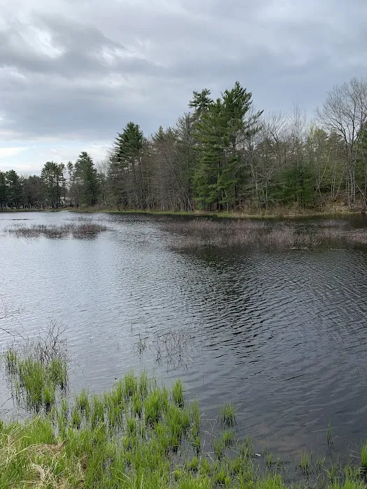 Woodman Lake Campground Picture 1