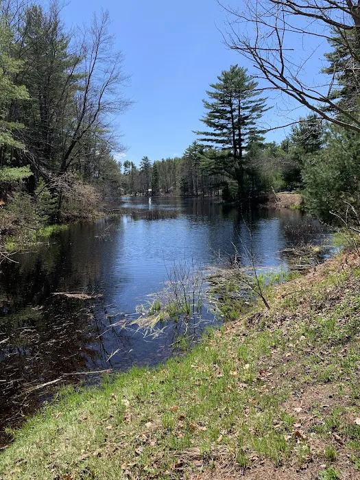 Woodman Lake Campground Picture 3