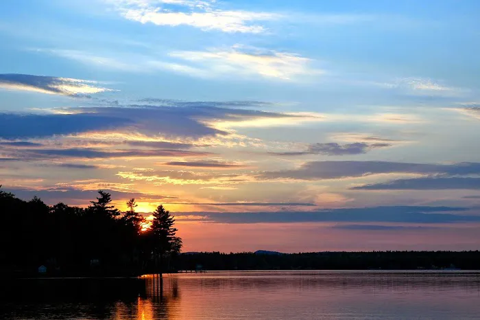 Lake Forest Resort Picture 2