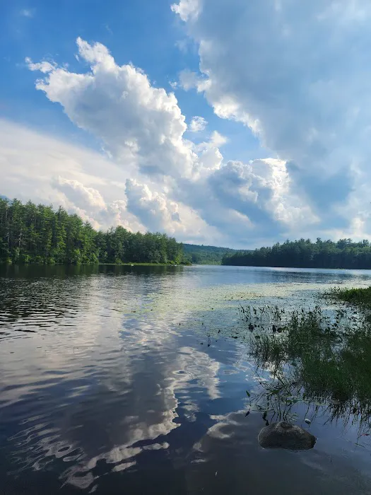 Beaver Pond Campground at Bear Brook State Park Picture 7