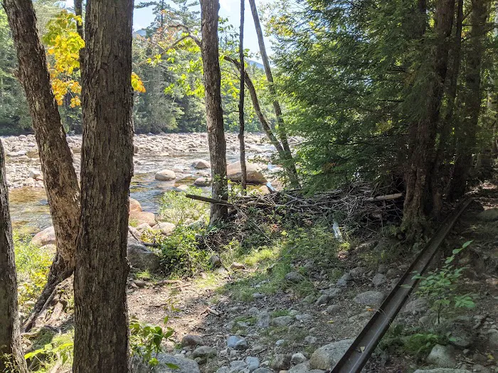 Franconia Brook Tentsite Picture 1